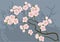 Sakura, cherry-tree