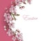 Sakura Flower Wreath Template. Copy Space Isolated on White. Apple/Almond/Cherry Blooms. Easter, Mother`s Day, Valentine, wed