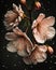 Sakura flowers covered with raindrops. Spring background with blooming cherry flowers. Close-up of a branch. Floral illustration.