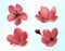 Sakura Flowers Icons. Isolated Vector Objects.