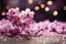 Sakura flowers on a lilac background. Floral banner, cherry blossoms