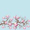 Sakura flowers Nature background with blossom branch of pink flowers. Cherry tree brown branches japanese card banner design paste