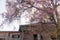 Sakura front the roof . Cherry Blossom In Springtime