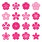 Sakura icons isolated on a white background