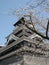 Sakura and Japanese castle