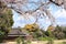 Sakura in Koishikawa Korakuen garden, Okayama, Japan