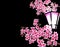 Sakura. Magnificent branches of a cherry tree with purple small flowers on a black background. A glowing garden lantern