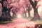 sakura park, full bloom magic. pink spring vibes.