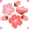 Sakura pattern. The infinite beauty seamless background captivated viewers