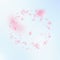 Sakura petals falling down. Romantic pink flowers frame. Flying petals on blue sky square background