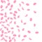 Sakura petals falling down. Romantic pink silky medium flowers. Sparse flying cherry petals. Left gr