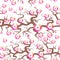 Sakura seamless pattern Nature background with blossom branch of pink flowers. Cherry tree brown branches japanese pattern pastel