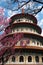 Sakura, temple and blue sky