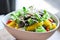 salad or beef salad, beef and vegetable salad or mixed vegetable salad