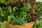 Salad Bowl Filled with Healthy Greens