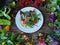 Salad dishes and vegetables are placed on old wood.