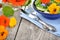 Salad with edible flowers nasturtium, borage.