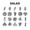 salad food healthy green fresh icons set vector