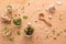 Salad, garlic and ginger on a wooden table background