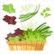 Salad greens in a basket.
