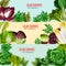 Salad greens and leaf vegetables banner set