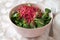 Salad with lamb`s lettuce and fresh red beet sprouts