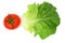 Salad leaf and tomato