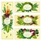 Salad leaf vegetable banner set