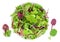 Salad leaves in a bowl isolated on white background. Mix fresh leaves of arugula, lettuce and  spinach leaf. Top view