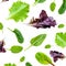 Salad leaves Collection. Salad mix with rucola, frisee, radicchio, lettuce  Isolated on white background
