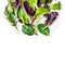 Salad Leaves on a plate isolated on white background. Fresh salad.  Assortment  with arugula, lettuce, chard, spinach