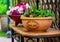 salad plants grown in upcycled recycled salad bowl outside in garden on repurposed shelf