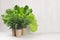 Salad, spinach, dill, parsley in craft pots on white wood shelf, copy space. Healthy food.