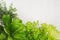 Salad, spinach, dill, parsley sprigs on white wood plank, top view, decorative border.