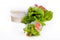 Salad spring roll with green oak and batavia vegetable (Eat by p