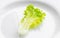 salad on a white plate, diet, proper nutrition, figure, green lettuce leaf, natural product