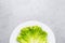 salad on a white plate, diet, proper nutrition, figure, green lettuce leaf, natural product, fitness, diet food