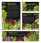Salads and leafy lettuce vector templates posters