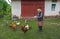 Salaj/Romania - May 16, 2018: old lady feeding her chickens in the yard in countryside