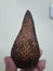 Salak fruit from Indonesia tastes very sweet