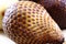 Salak snake fruit