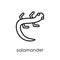 salamander icon. Trendy modern flat linear vector salamander icon on white background from thin line animals collection