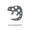 salamander icon. Trendy salamander logo concept on white background from animals collection