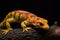 salamander limb regrowth with scientific annotations
