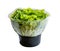 Salanova lettuce in growing mix in plastic