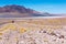 Salar de Tara - Truck, road and nature