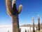 Salar de Uyuni in Bolivia