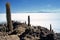 Salar de Uyuni in Bolivia,Bolivia