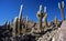 Salar de Uyuni in Bolivia,Bolivia