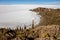 Salar de Uyuni. Giant Cactus Plants against Sunny Blue Sky at Isla del Pescado or Isla Incahuasi